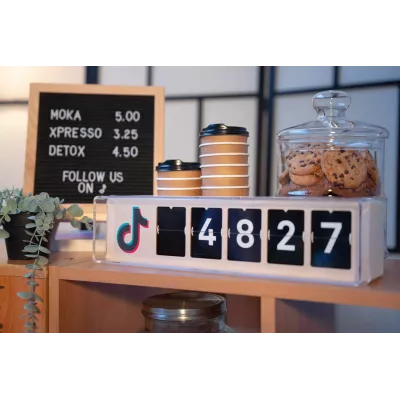 TikTok Follower Counter